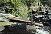 09-07_04- CanimFall.JPG