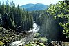 09-07_05- CanimFall.JPG