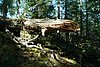 09-08_02- BrandywineFalls.JPG