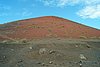211121_006.JPG