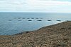 211124_017.JPG
