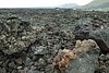211125_009.JPG