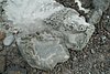 211125_020.JPG