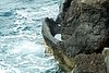 211125_040.JPG