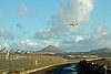 211127_006.JPG