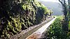 094_Madeira.JPG