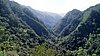 125_Madeira.JPG