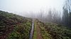 136_Madeira.JPG