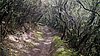 182_Madeira.JPG