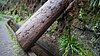 310_Madeira.JPG