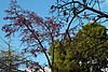 13-11_04-Park in Palma.JPG