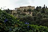 15-11_04-von Deja ....JPG