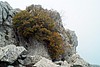 17-11_08-nach Lluc.JPG