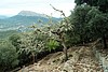 17-11_16-nach Lluc.JPG