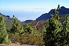 Teneriffa17034.JPG