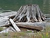 015- am Coldwater Lake.JPG