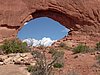 110- Window.JPG